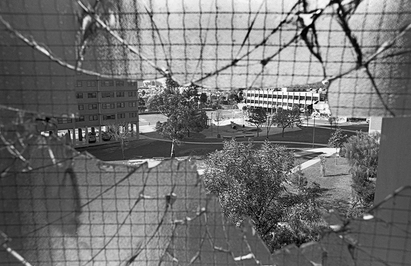 Life in an Inner Melbourne Housing Estate, 1986: Australia : Richard Moore : Journalist : Photographer :